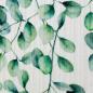 Preview: Baumwoll Rippjersey Valencia Eukalyptus by Swafing